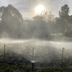 Marche Nordique 18 octobre