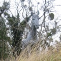 IMG 7854