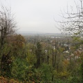 IMG 7855