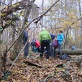 IMG 7861