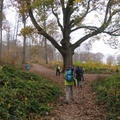 IMG 7867