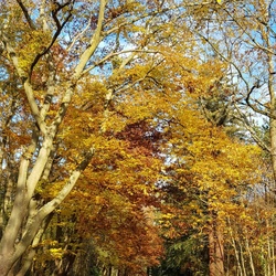 Marche Nordique 22 novembre