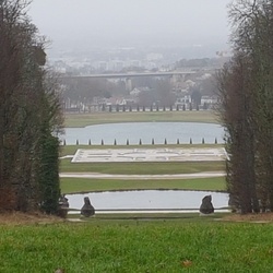 Forêt de Marly (78)