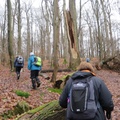 IMG 7889