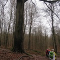IMG 7890