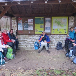 Forêt de Marly (78)