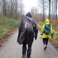 IMG 7895
