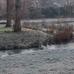 La Bièvre et la forêt de Verrières
