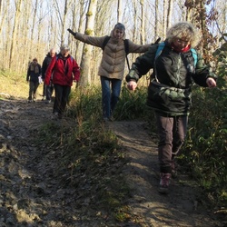 Forêts de Montmorency et d'Ecouen (95)