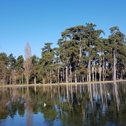 Marche Nordique 28 février