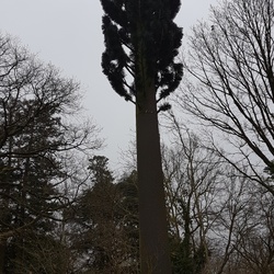 Villiers-le-Mahieu (78)