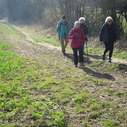 Parmain, Vallée du Sausseron (95)