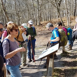 Ronquerolles. Le polissoir Néolithique (95)