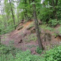 Vallée de l'Yvette et Forêt de Saulx (91)