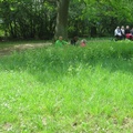 IMG 8119