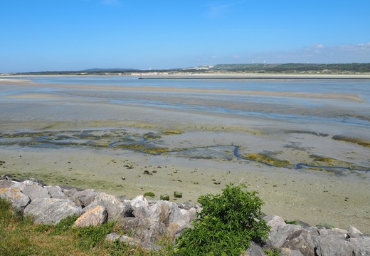 Côte d'Opale (62)