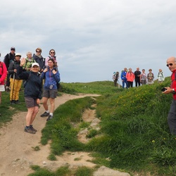 Le Cap Gris-Nez