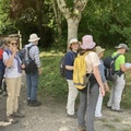 IMG 2176