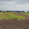 rando du 25 juin 22