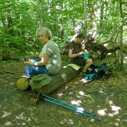 De Ville d'Avray à Bougival