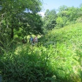 IMG 8273