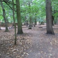 IMG 8285