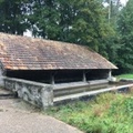 IMG 91521