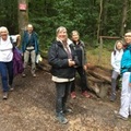 IMG 91561