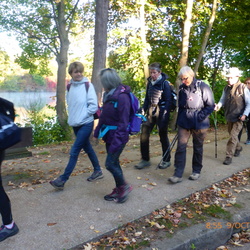 Marche contre le cancer