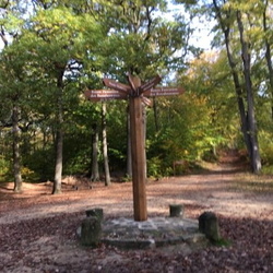 Forêt de l'Isle-Adam