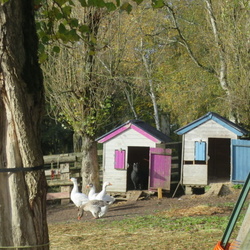 Aigremont 