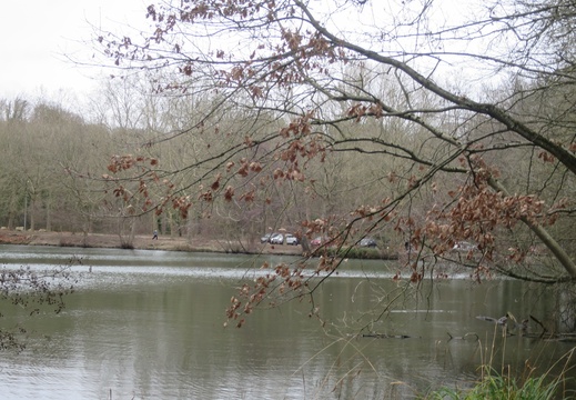 IMG 8540