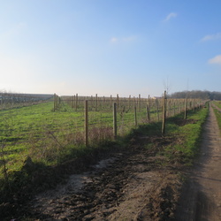  Aulnay-sur-Mauldre