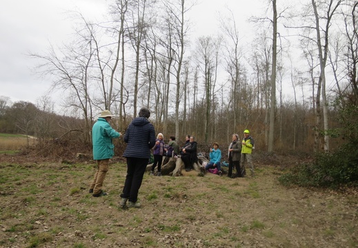 IMG 8602