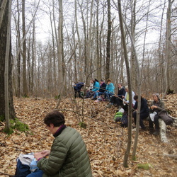 Béthemont-la-forêt