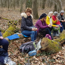 Breuillet - St Chéron