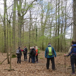 Montfort-l'Amaury - Forêt de Rambouillet