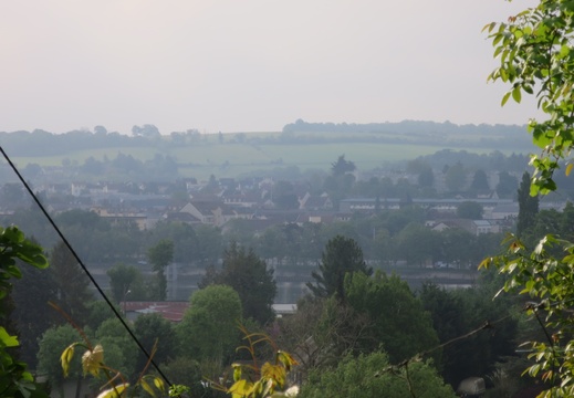 IMG 8735
