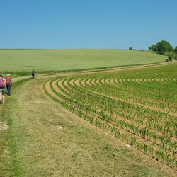 Au fil de L'Eau qui brille