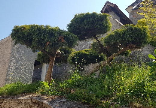 au fil de L'Eau qui brille