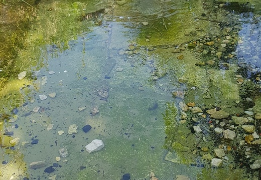 au fil de L'Eau qui brille
