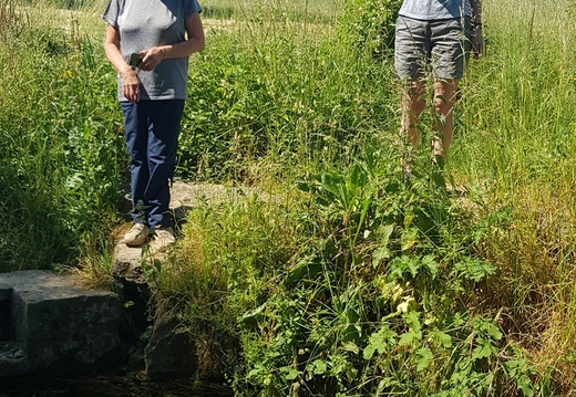 au fil de L'Eau qui brille
