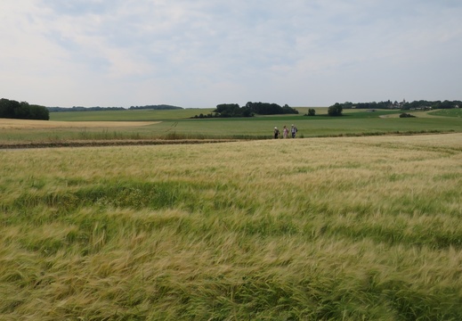 IMG 8791