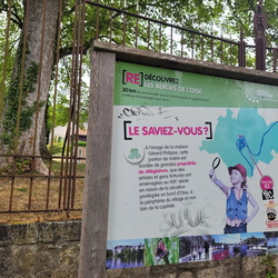 Cergy à Conflans-fin-d'Oise