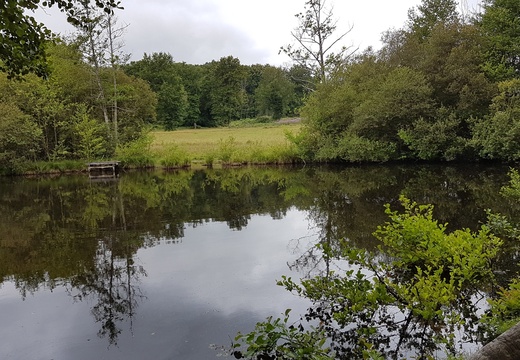  Forêt de Cromières et voie romaine
