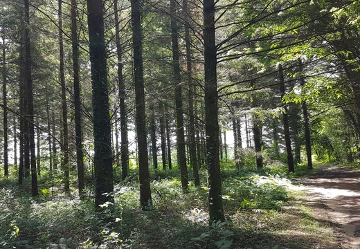 Semaine à Cussac 