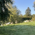 IMG 3369