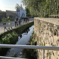 IMG 3370