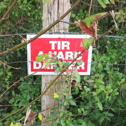 Ronquerolles. Polissoir Néolithique