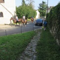 IMG 9172